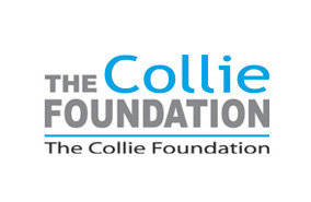 The Collie Foundation